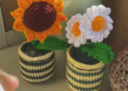 Rosemary Radiance Mini Spray